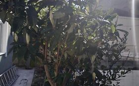 Agelikis' Apartments