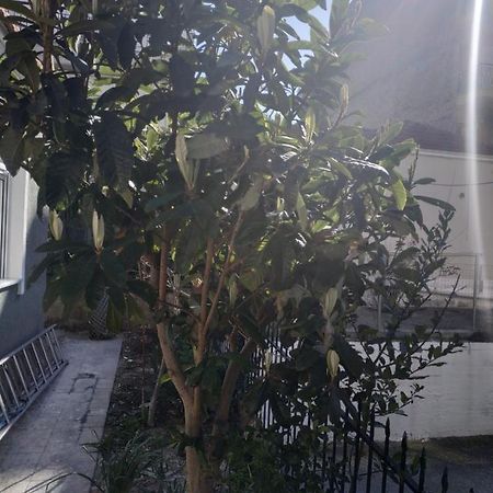 Agelikis' Apartments Nea Kallikrateia Exterior photo